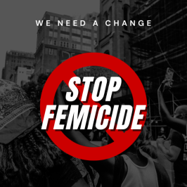 Research 8020 Limited | End femicide today